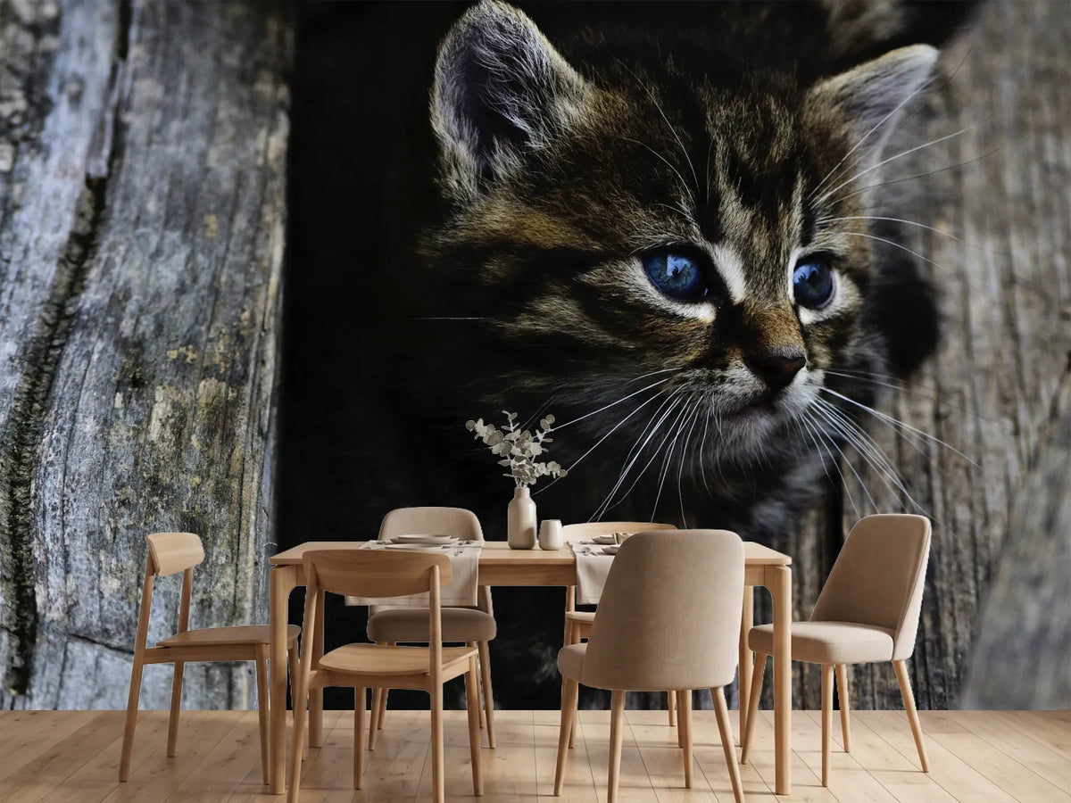 photo-wallpaper-cats-child
