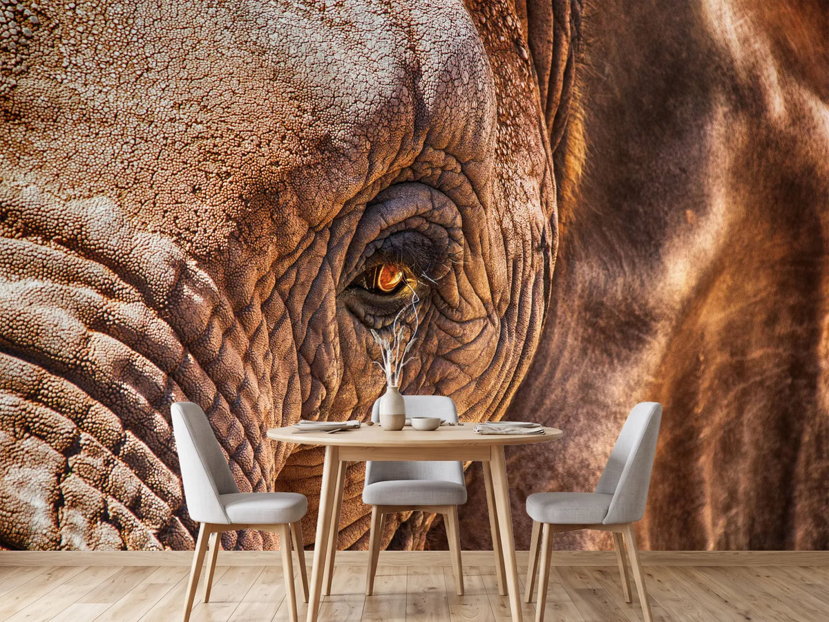 photo-wallpaper-the-look-of-the-elephant