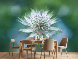 photo-wallpaper-astrantia-x