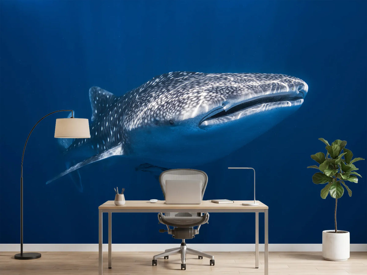 photo-wallpaper-whale-shark