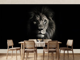 photo-wallpaper-portrait-of-a-beautiful-lion-lion-at-the-waterhole