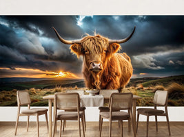 photo-wallpaper-highland-cow-in-low-light-on-bodmin-moor-cornwall-uk