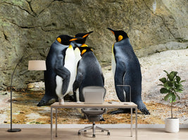 photo-wallpaper-king-penguins