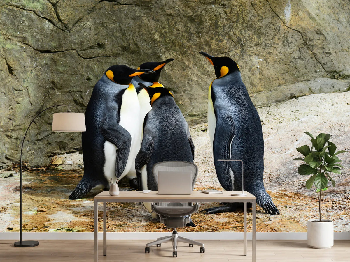photo-wallpaper-king-penguins