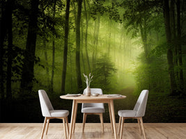 photo-wallpaper-spring-secret-x