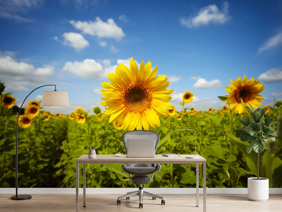 photo-wallpaper-summer-sunflowers