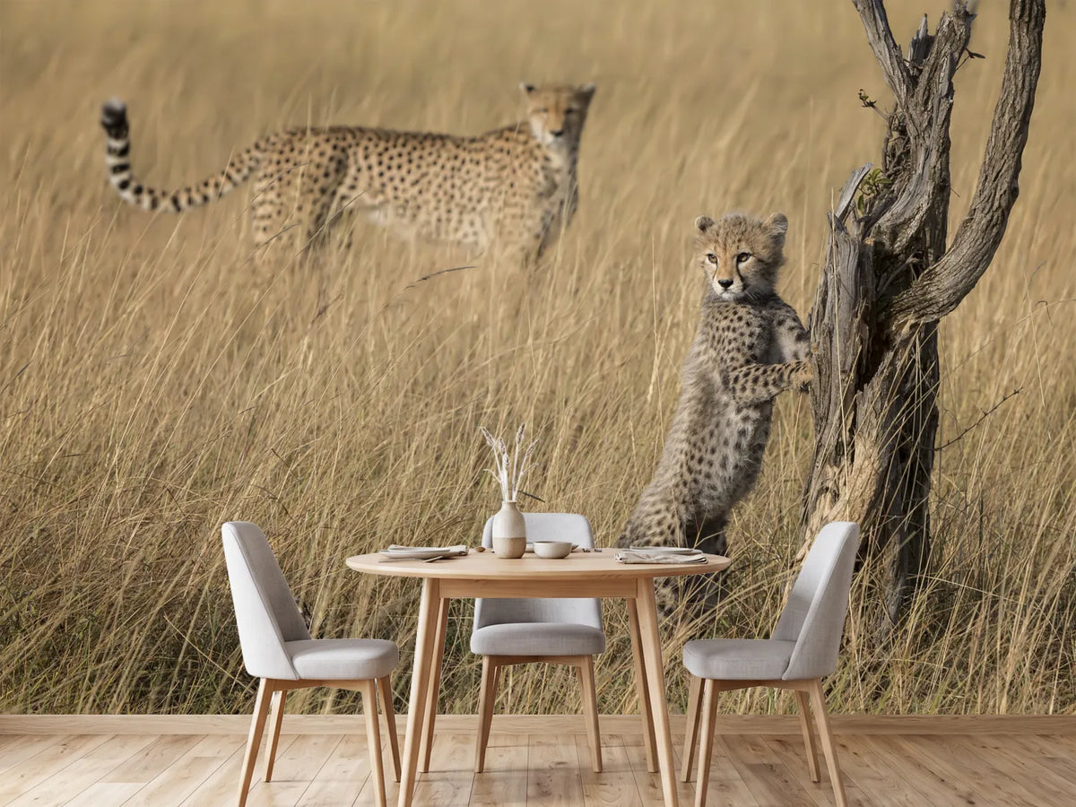 photo-wallpaper-curious-cub-in-savanna