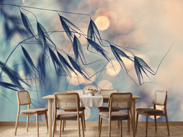 photo-wallpaper-straws