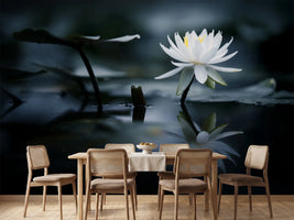 photo-wallpaper-reflection-xkq