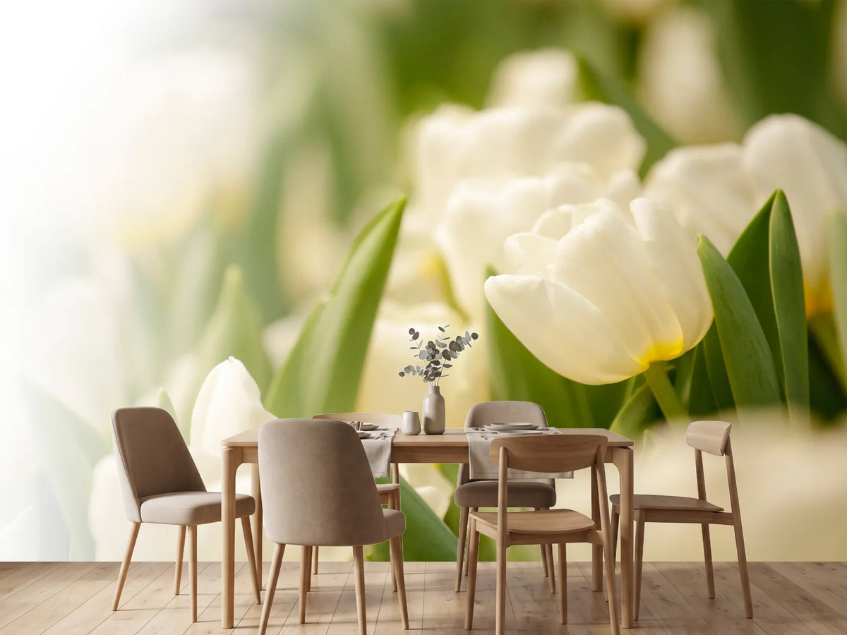 photo-wallpaper-tulips-perspective
