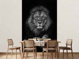 photo-wallpaper-king-lion