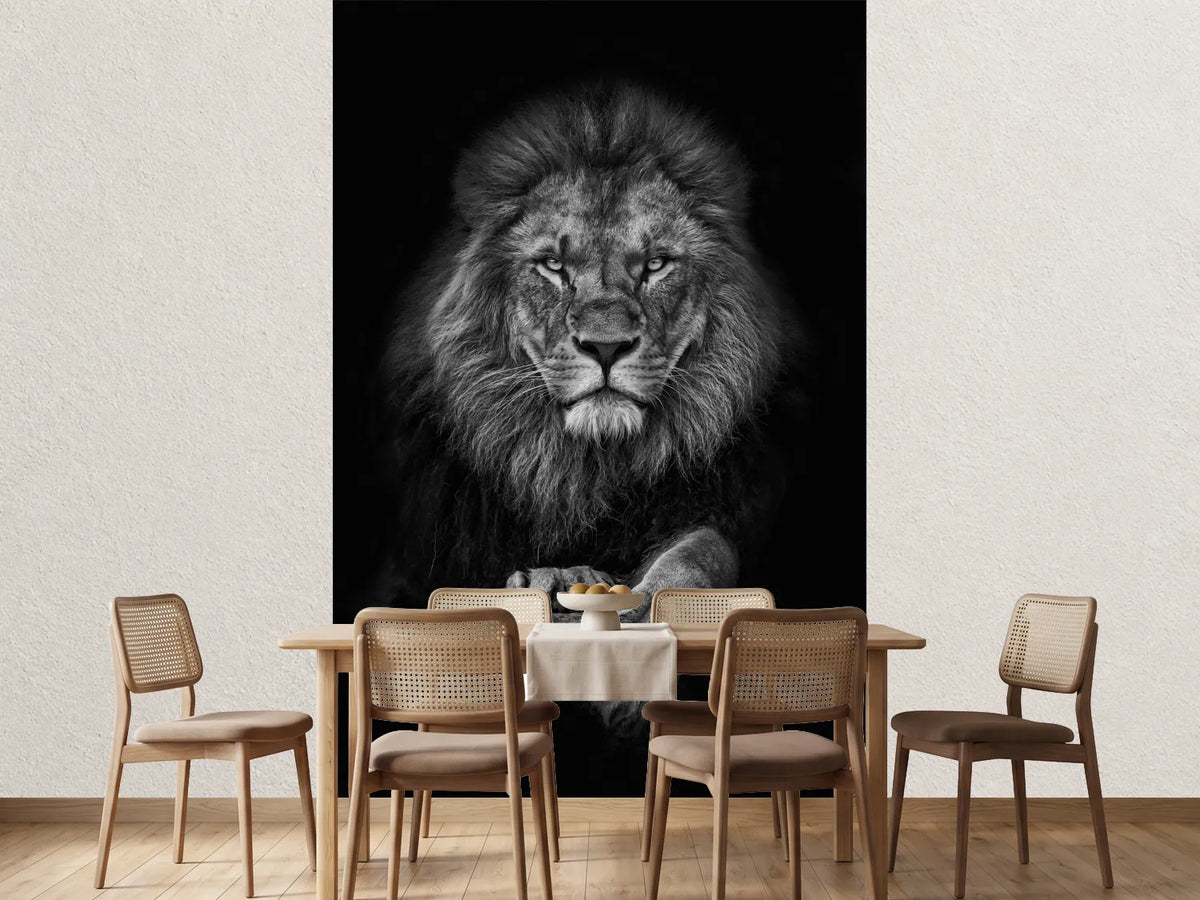 photo-wallpaper-king-lion