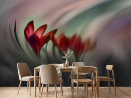 photo-wallpaper-krokus