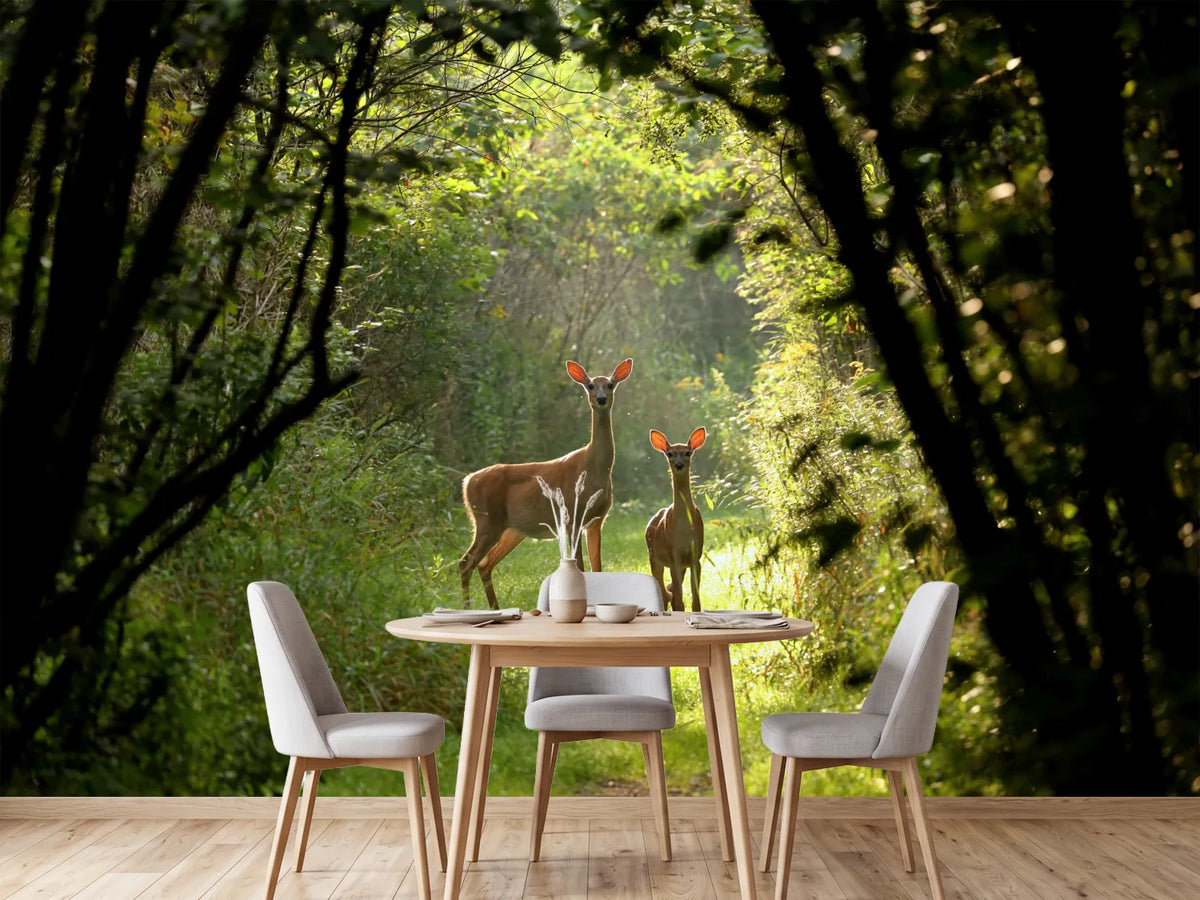 photo-wallpaper-wild-and-free-in-the-forest