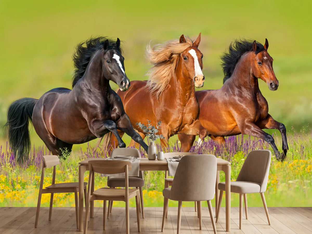 photo-wallpaper-horses-at-a-gallop