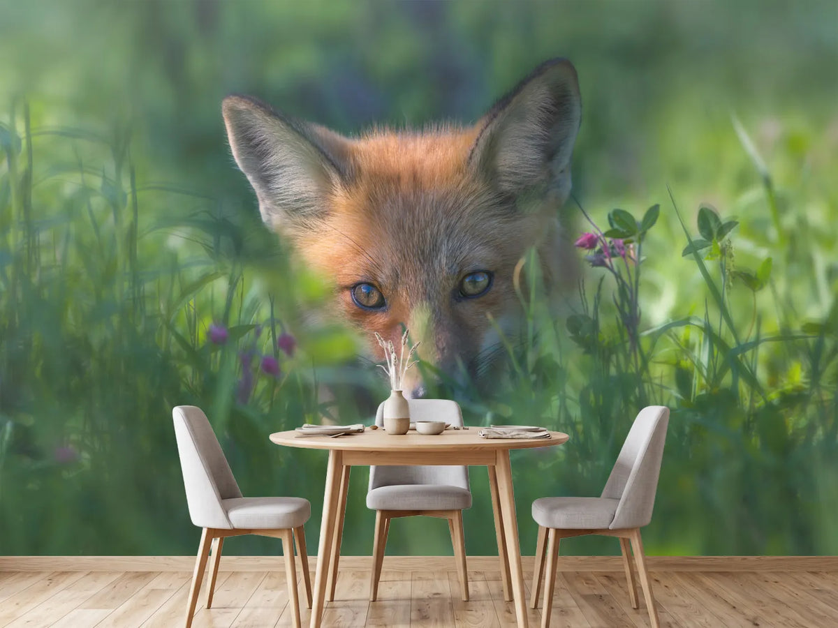 photo-wallpaper-red-fox-xuf