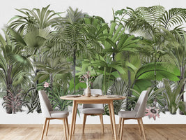 photo-wallpaper-lush-tropical-jungle-2