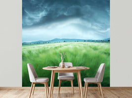 photo-wallpaper-barley-field