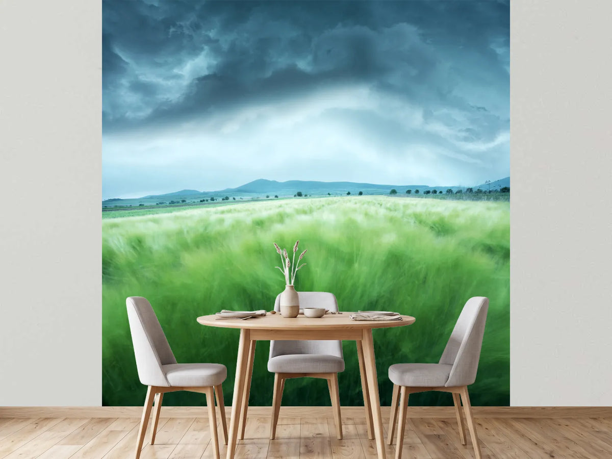 photo-wallpaper-barley-field