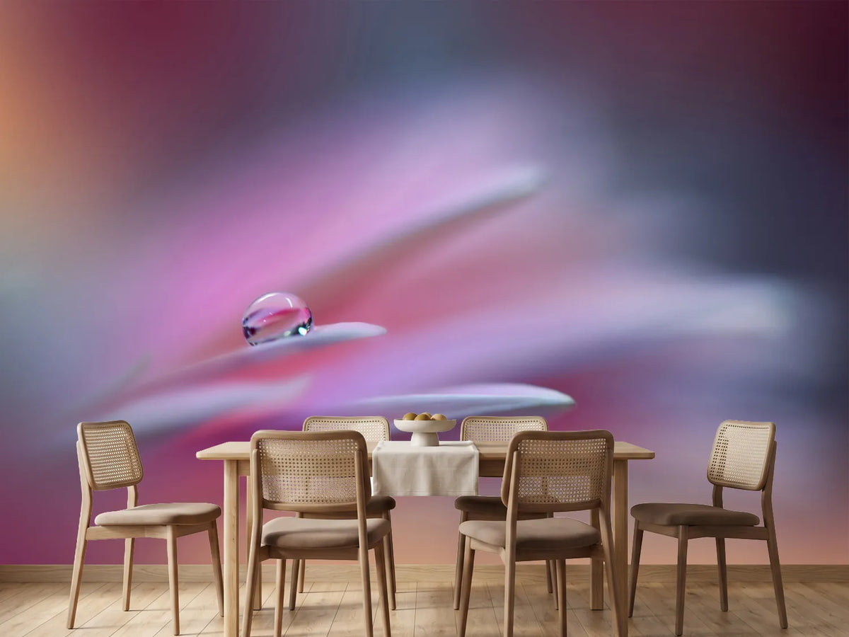 photo-wallpaper-sound-of-colors-xsr