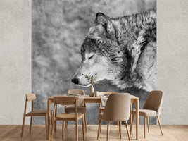 photo-wallpaper-let-it-snow-x