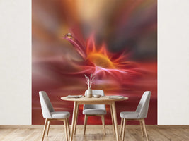 photo-wallpaper-song-of-my-soul
