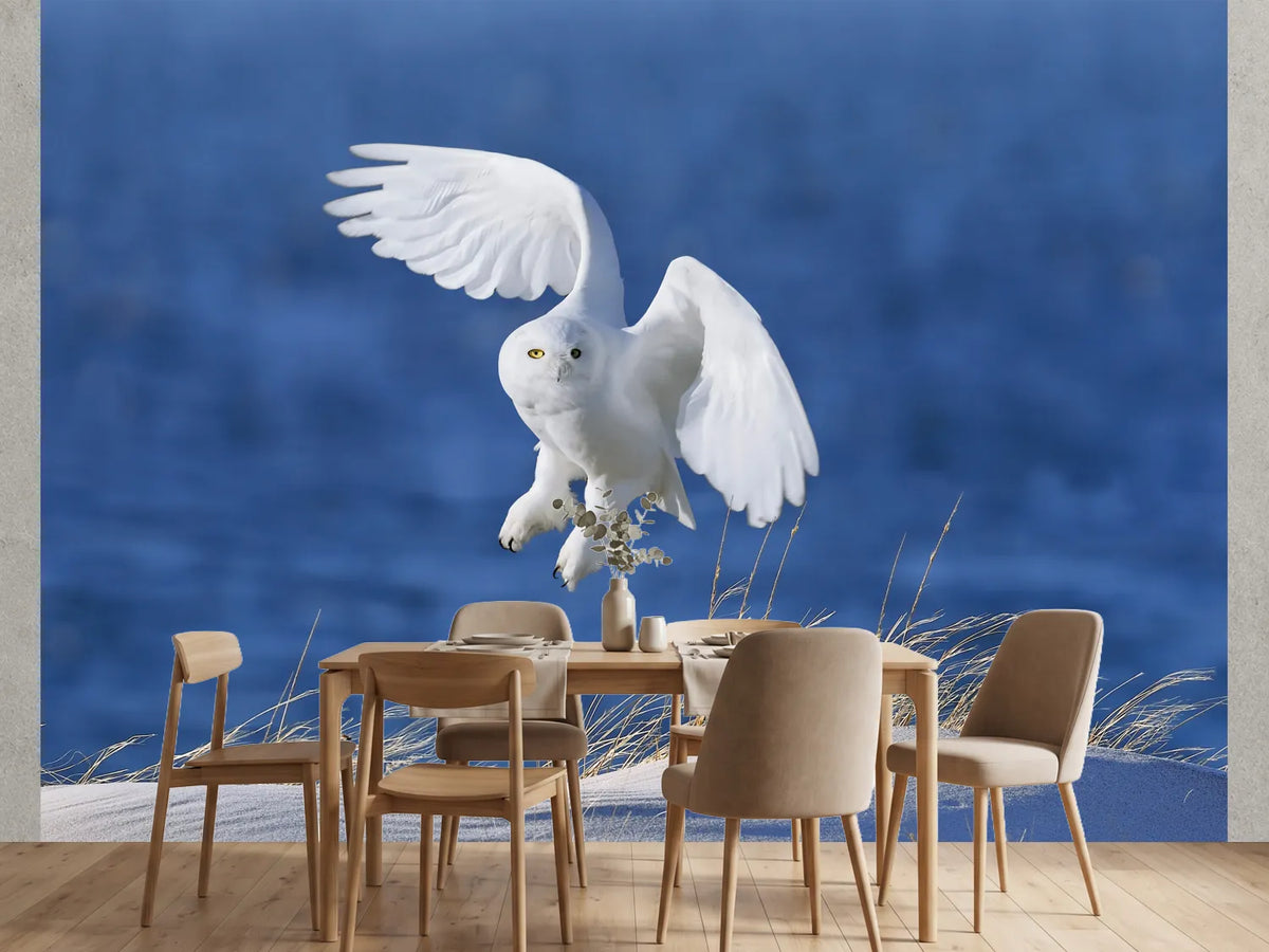 photo-wallpaper-snowy-owl-in-flight
