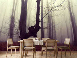 photo-wallpaper-misty-autumn-forest-2