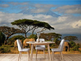 photo-wallpaper-elephant-family-in-front-of-mt-kilimanjaro