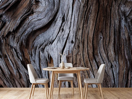 photo-wallpaper-weathered-wood-detail