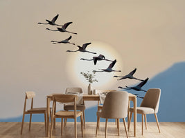 photo-wallpaper-flamingo-sunset-silhouettes