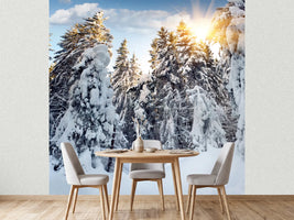 photo-wallpaper-fir-in-snow