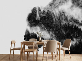 photo-wallpaper-bison-x