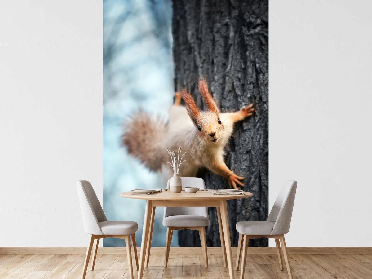 photo-wallpaper-the-squirrel