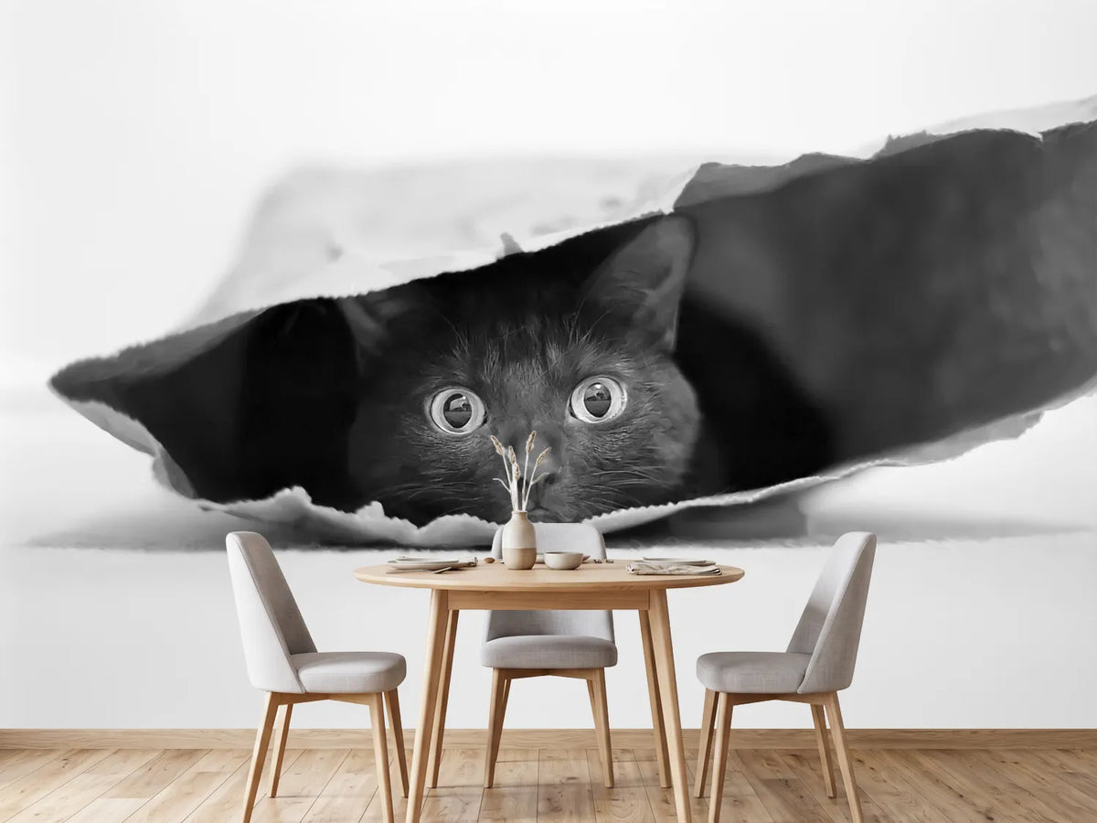 photo-wallpaper-cat-in-a-bag-x