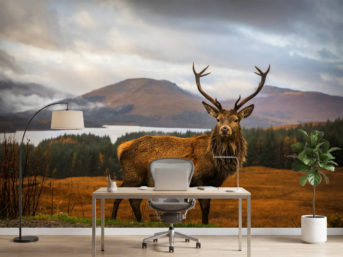 photo-wallpaper-scottish-stag