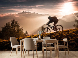 photo-wallpaper-golden-hour-biking-x