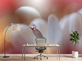 photo-wallpaper-ethereal-petal-drop
