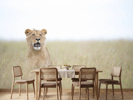 photo-wallpaper-young-lion