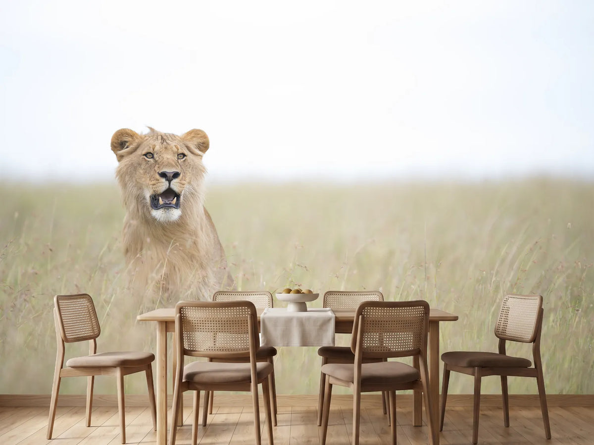 photo-wallpaper-young-lion
