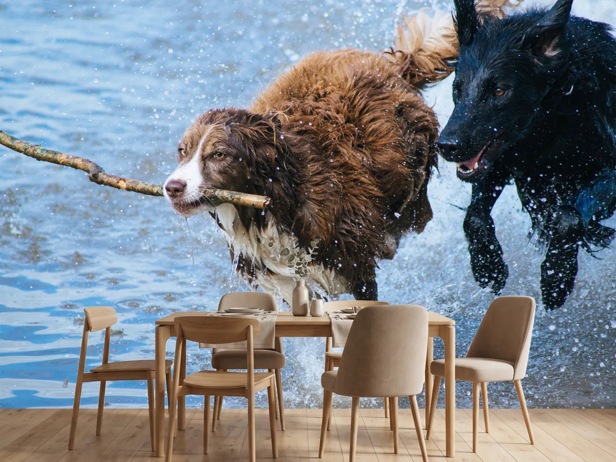 photo-wallpaper-playing-dogs