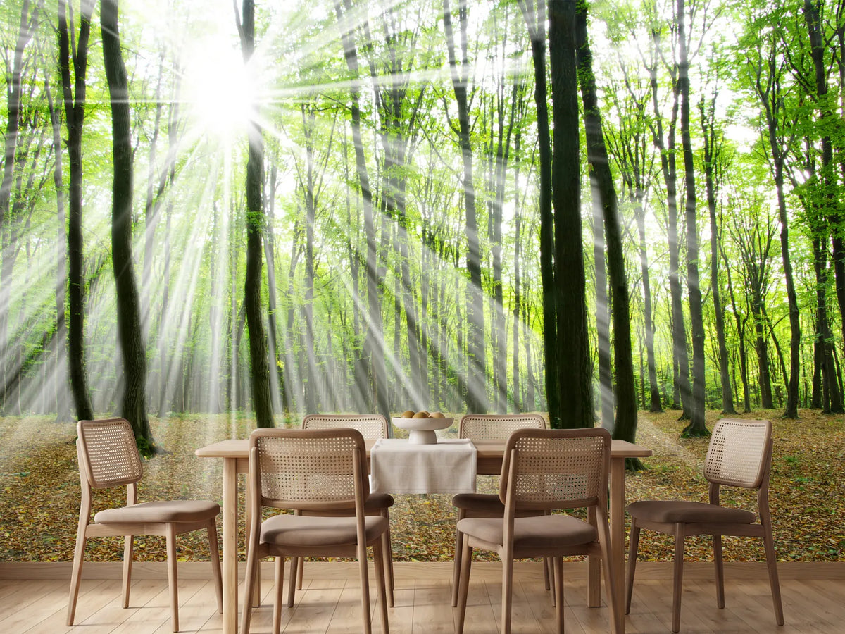photo-wallpaper-magic-light-in-the-trees
