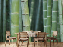 photo-wallpaper-bamboo-in-xxl