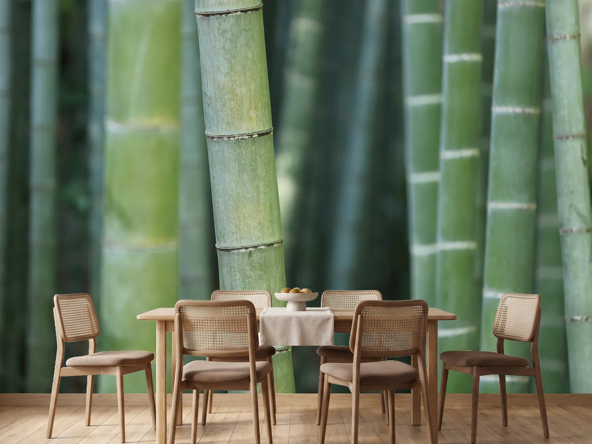 photo-wallpaper-bamboo-in-xxl