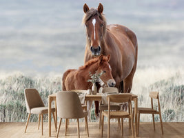 photo-wallpaper-wild-horses-3