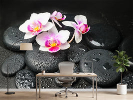 photo-wallpaper-feng-shui-orchid-zen