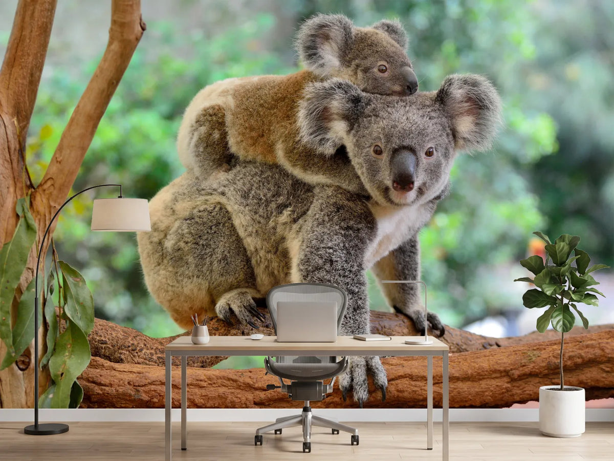 photo-wallpaper-mother-koala-with-baby-on-her-back