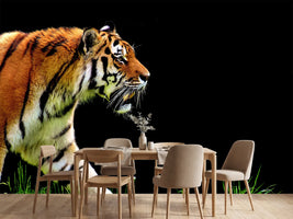 photo-wallpaper-imposing-tiger