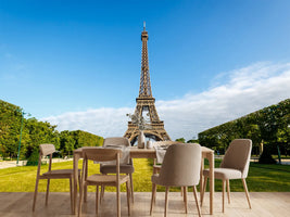 photo-wallpaper-the-eiffel-tower-in-paris