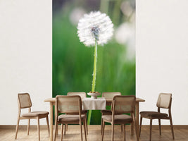 photo-wallpaper-dandelion